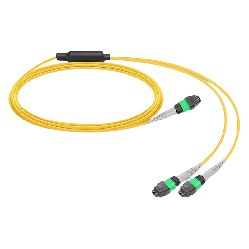5m (16ft) MPO-8 to 2 × MPO-4 APC Breakout Cable, 8 Fibers, OS2, General