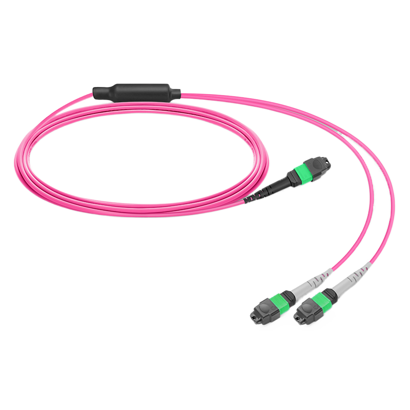 10m (33ft) MPO-16 APC to 2 x MPO-8 APC Breakout Cable, Female, 16 Fibers, OM4, General