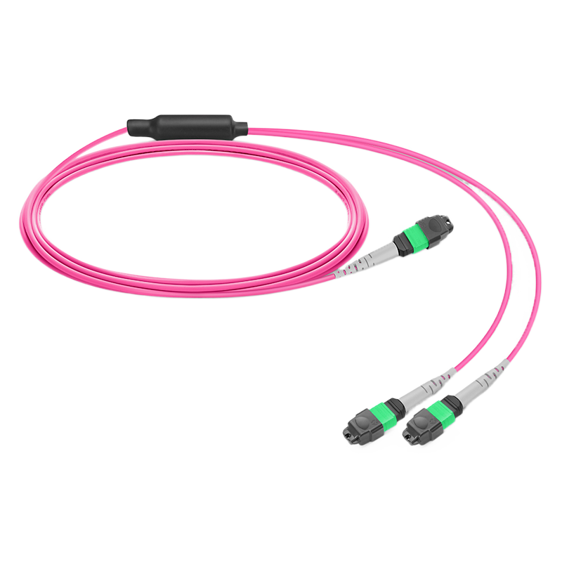 50m (164ft) MPO-8 to 2 x MPO-4 APC Breakout Cable, Female, 8 Fibers, OM4, General